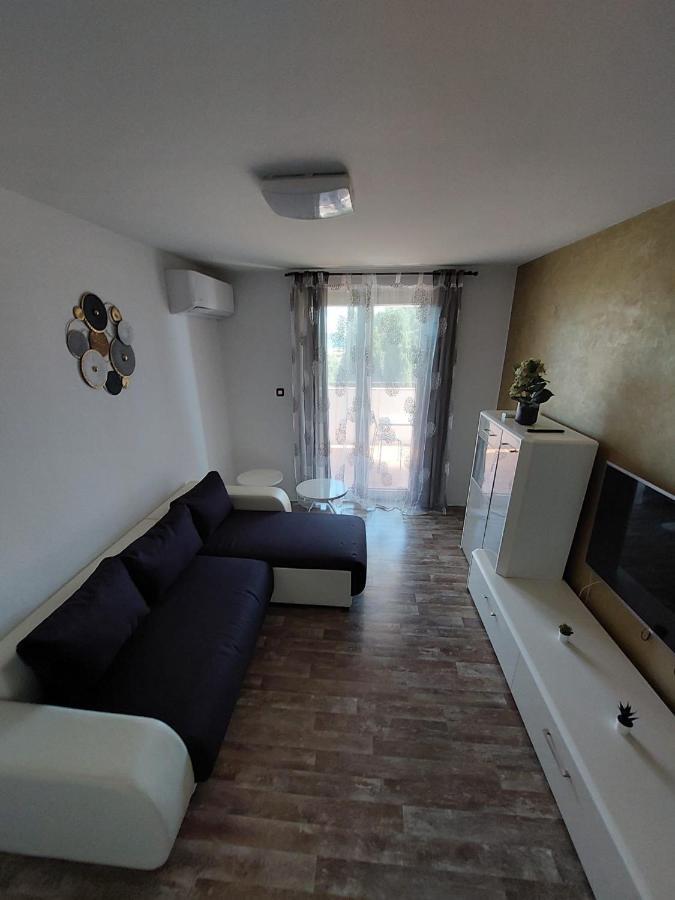 Apartment Jana Novigrad  Exterior photo